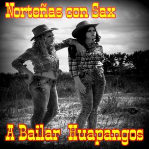 Download track Ella Debe Saber Nortenas Con Sax