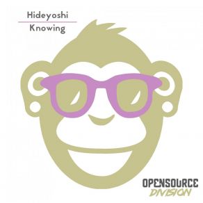 Download track You Really Never Know Hideyoshi