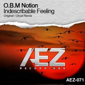 Download track Indescribable Feeling (Original Mix) O. B. M Notion