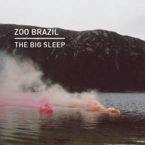 Download track The Big Sleep Zoo Brazil