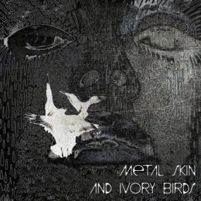 Download track Metal Skin And Ivory Birds Andre Akinyele