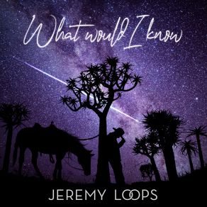 Download track What Would I Know Jeremy Loops