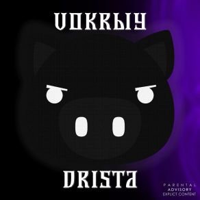 Download track Drista VOKRЫY