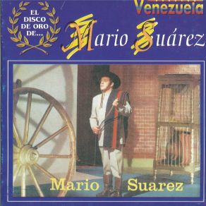 Download track Arroyito De Mi Pueblo Mario Suárez