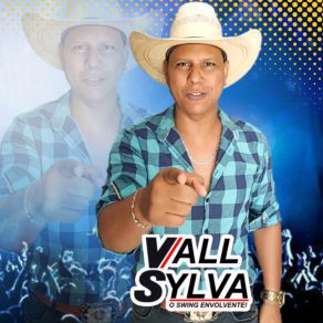 Download track Ela Vai Voltar Vall Sylva