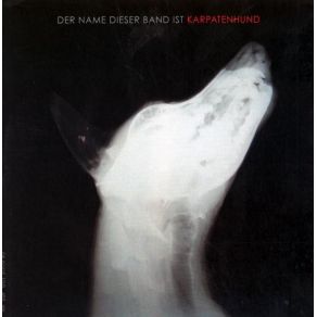 Download track Wald Karpatenhund