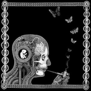 Download track Oscillation Soen