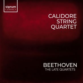 Download track Beethoven: String Quartet No. 13 In B-Flat Major, Op. 130: II. Presto Calidore Quartet