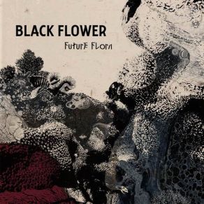 Download track Hora De Aksum Black Flowers