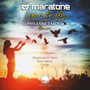 Download track Learn To Fly (Dark Matter Remix) Roxanne EmeryDark Matters