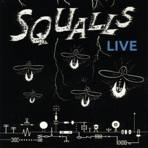 Download track What You Get (Live) The Squalls