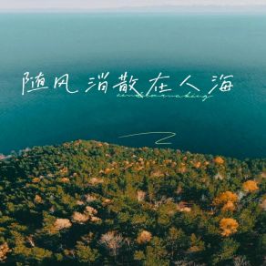 Download track 随风消散在人海 (伴奏) 情绪怪兽