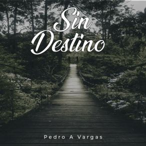 Download track Yo VI Llorar A Un Hombre Pedro A Vargas