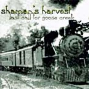 Download track Window Pain Shaman'S Harvest