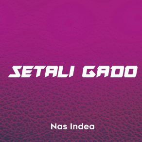 Download track Master Of Migue Nas Indea