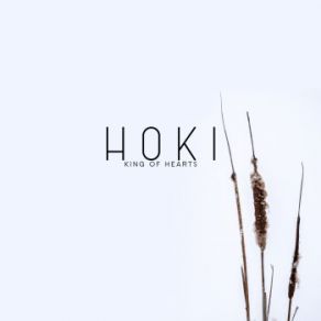 Download track Eve (Koelle Remix - Radio Edit) Hoki