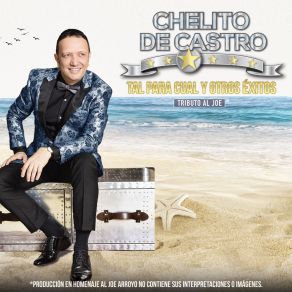 Download track Mosaico De La Chula (Tamarindo Seco / La Garrapata / La Mata De Patilla) Joe All StarsCheco Acosta