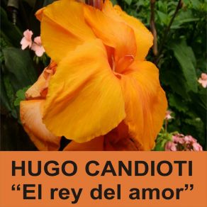 Download track Tu Celular Esta Sonando Hugo Candioti