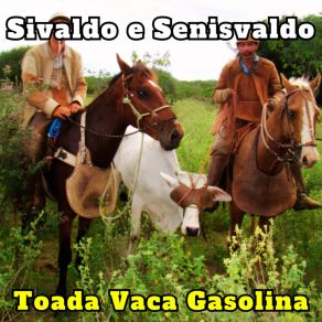 Download track Toada Seca No Sertão Sivaldo E Senisvaldo