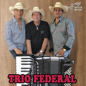 Download track Se Você Ama Perdoa Trio Federal