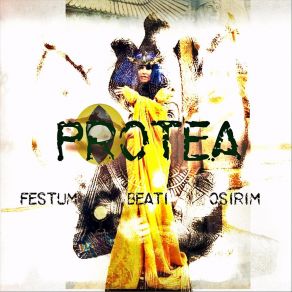 Download track Et Stellae Cadent (Bruma Solsticium) Protea