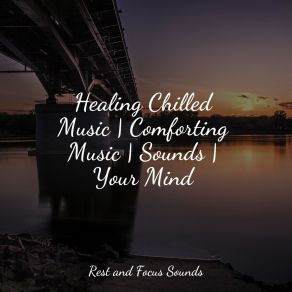 Download track Chill-Time Zealot Monarch Baby Lullaby InstituteMeditative Music Guru, Calming Sounds