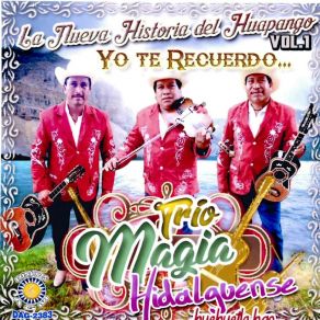 Download track Cenzontle Huasteco Trio Magia Hidalguense