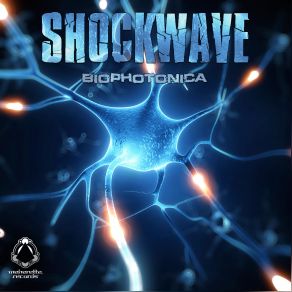 Download track Echo Relay ShockWave