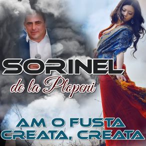 Download track La Fantana Sorinel De La Plopeni