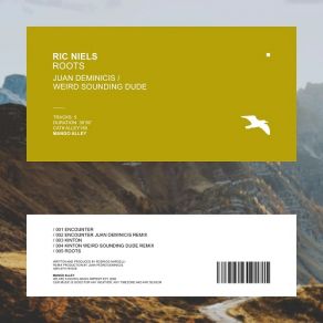 Download track Encounter (Juan Deminicis Remix) Ric Niels