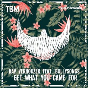 Download track Get What You Came For (Club Mix) Bullysongs