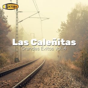 Download track El Marido De La Muerte Las Calenitas