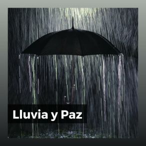 Download track Sonidos De Lluvia En La Naturaleza Cascada De Lluvia