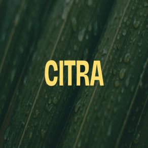 Download track Sendiri Lagi Citra