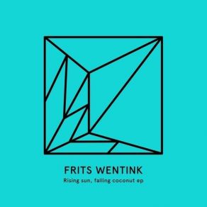 Download track Yeah But Maybe Never Frits Wentink