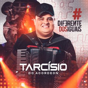 Download track Se Quiser Voltar Tarcísio Do Acordeon