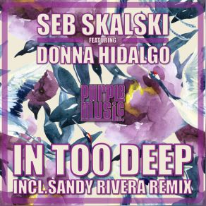 Download track In Too Deep (Sandy Rivera's Back2blackwiz Remix) Seb Skalski, Donna Hidalgo