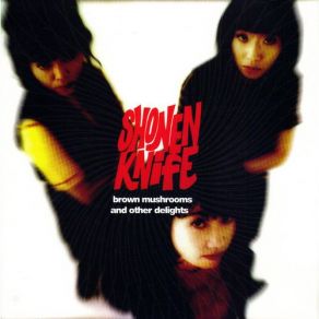 Download track Till The End Of The Day Shonen Knife