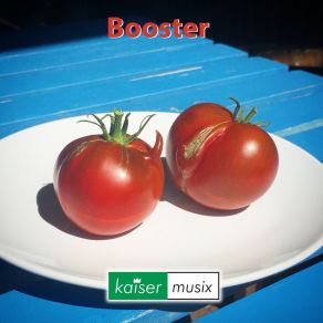 Download track Booster (Remastered) Kaiser Musix