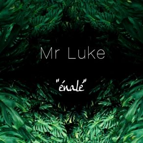 Download track Énalé (Extended Mix) Mr Luke