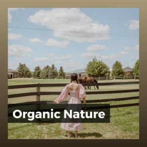 Download track Raining Jacket Organic Nature Sounds