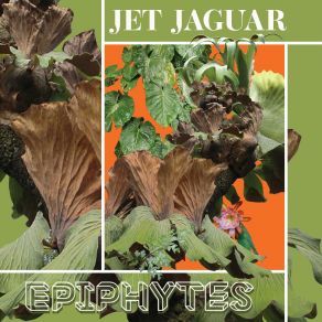 Download track Epiphyte Jet Jaguar