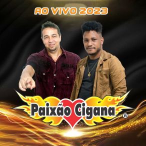 Download track Não Digita Paixão Cigana