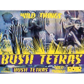 Download track Rituals / Enemies Bush Tetras