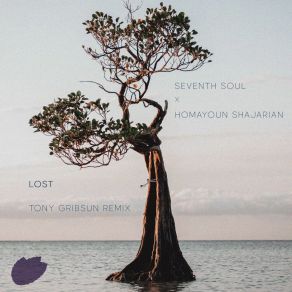 Download track Lost (Tony Gribsun Radio Edit) Seventh SoulTony Gribsun