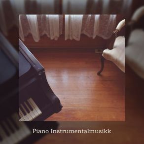 Download track Stille Musikk RW Pianosanger