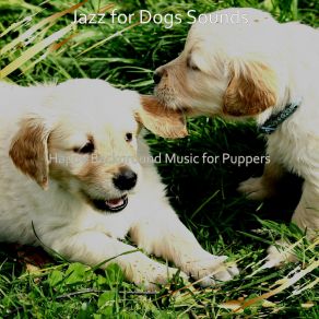 Download track Cool Backdrops For Dog Walking Jazz For Dogs Sounds