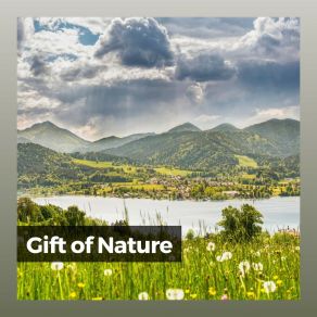 Download track Essential Nature And Music, Pt. 28 Nature Calm