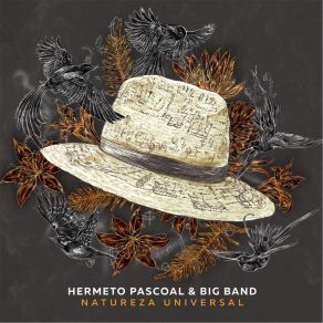 Download track Pulando A Cerca Hermeto Pascoal