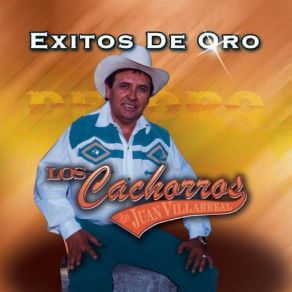 Download track El Complejo Los Cachorros De Juan Villarreal